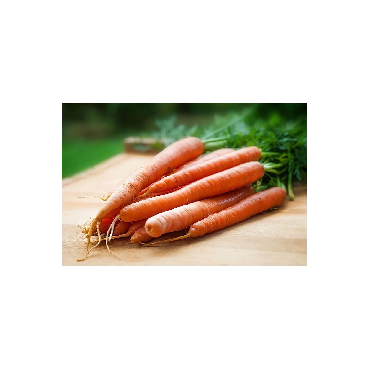 Brim Seed Co. - Little Finger Carrot Heirloom Seed