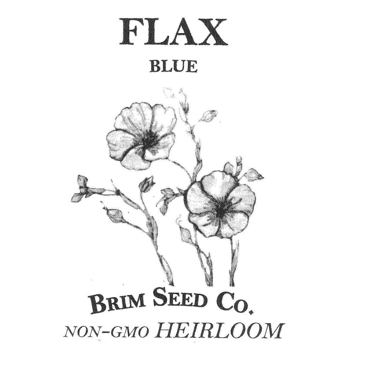 Brim Seed Co. - Blue Flax Flower Heirloom Seed