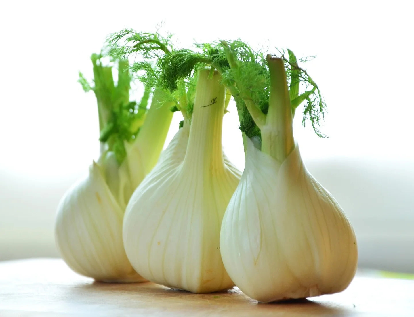 Brim Seed Co. - Florence Fennel Herb Seed