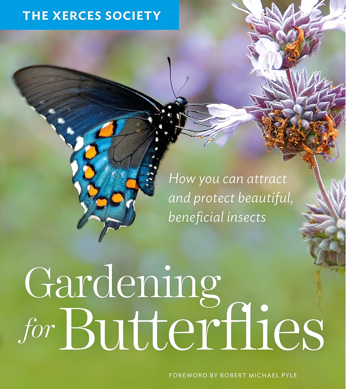 Gardening for Butterflies: How You Can Attract and Protect Beautiful, Beneficial Insects - by The Xerces Society