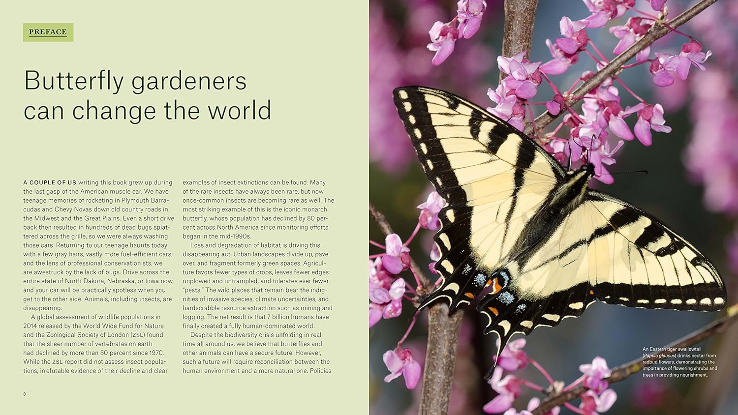 Gardening for Butterflies: How You Can Attract and Protect Beautiful, Beneficial Insects - by The Xerces Society