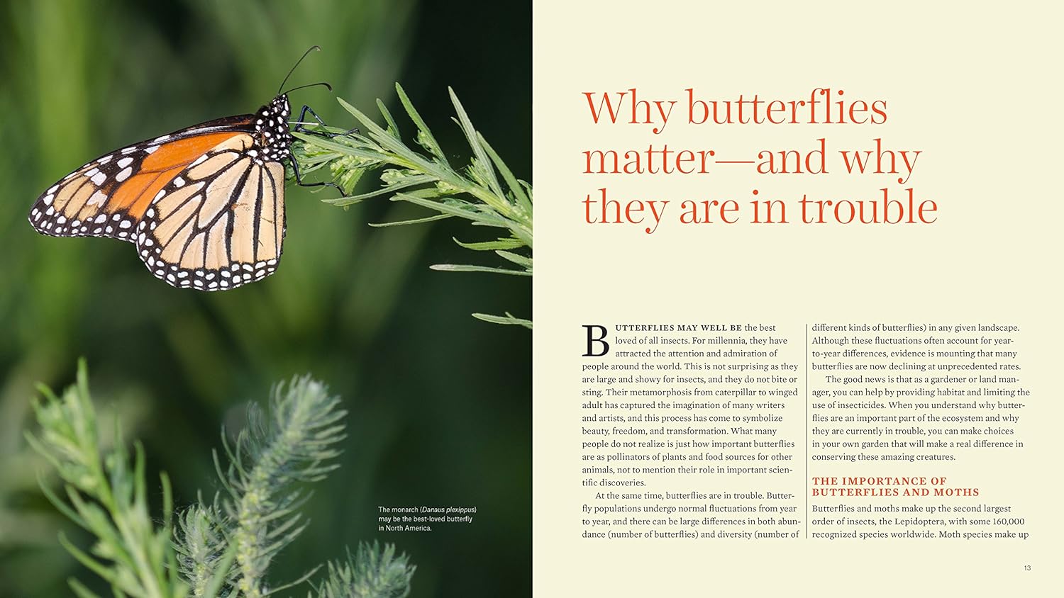 Gardening for Butterflies: How You Can Attract and Protect Beautiful, Beneficial Insects - by The Xerces Society