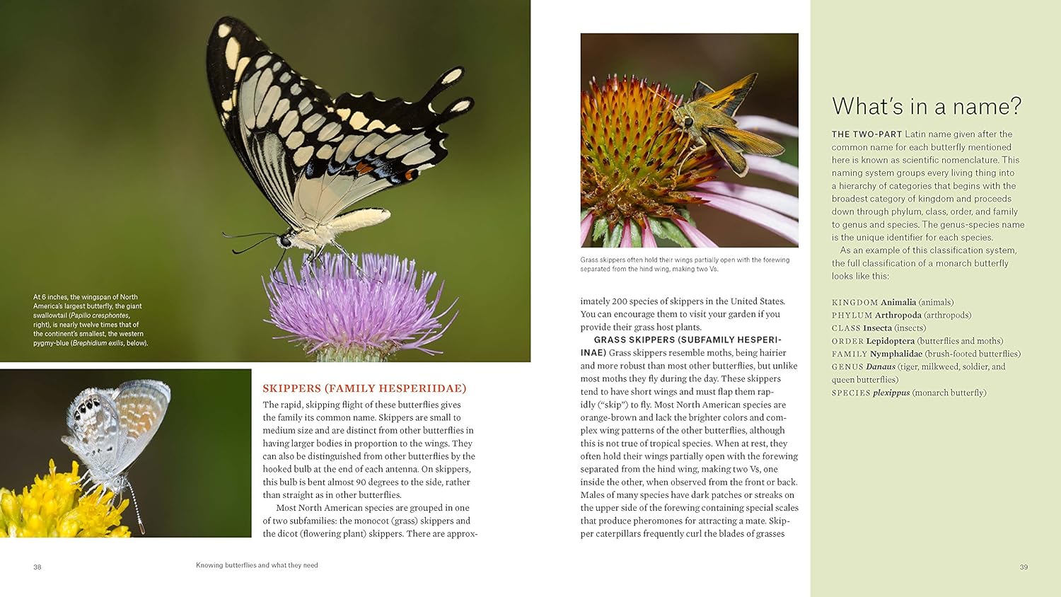 Gardening for Butterflies: How You Can Attract and Protect Beautiful, Beneficial Insects - by The Xerces Society