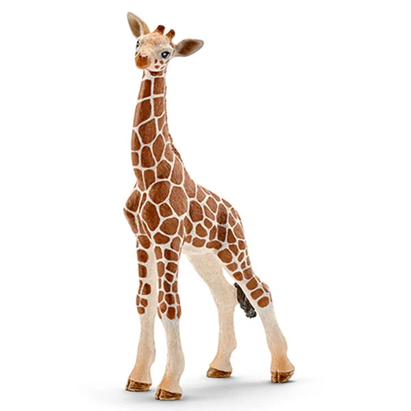 Schleich - Baby Giraffe