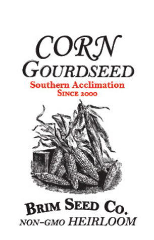 Brim Seed Co. - Southern Acclimated White Gourdseed Corn Heirloom Seed