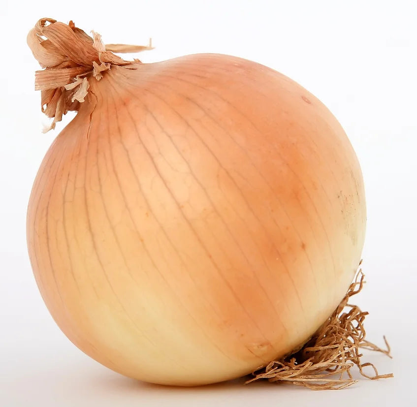 Brim Seed Co. - Texas Grano 1015Y Onion Heirloom Seed