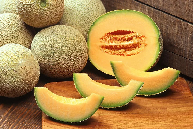 Brim Seed Co. - Hale's Best Jumbo Cantaloupe Melon Heirloom Seed