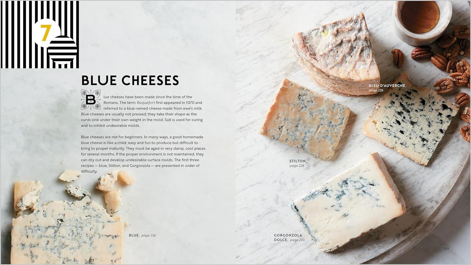 Home Cheese Making, 4th Edition: From Fresh and Soft to Firm, Blue, Goat’s Milk, and More; Recipes for 100 Favorite Cheeses - by Ricki Carroll