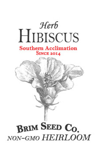 Brim Seed Co. - Southern Acclimated Hibiscus Herb Heirloom Seed