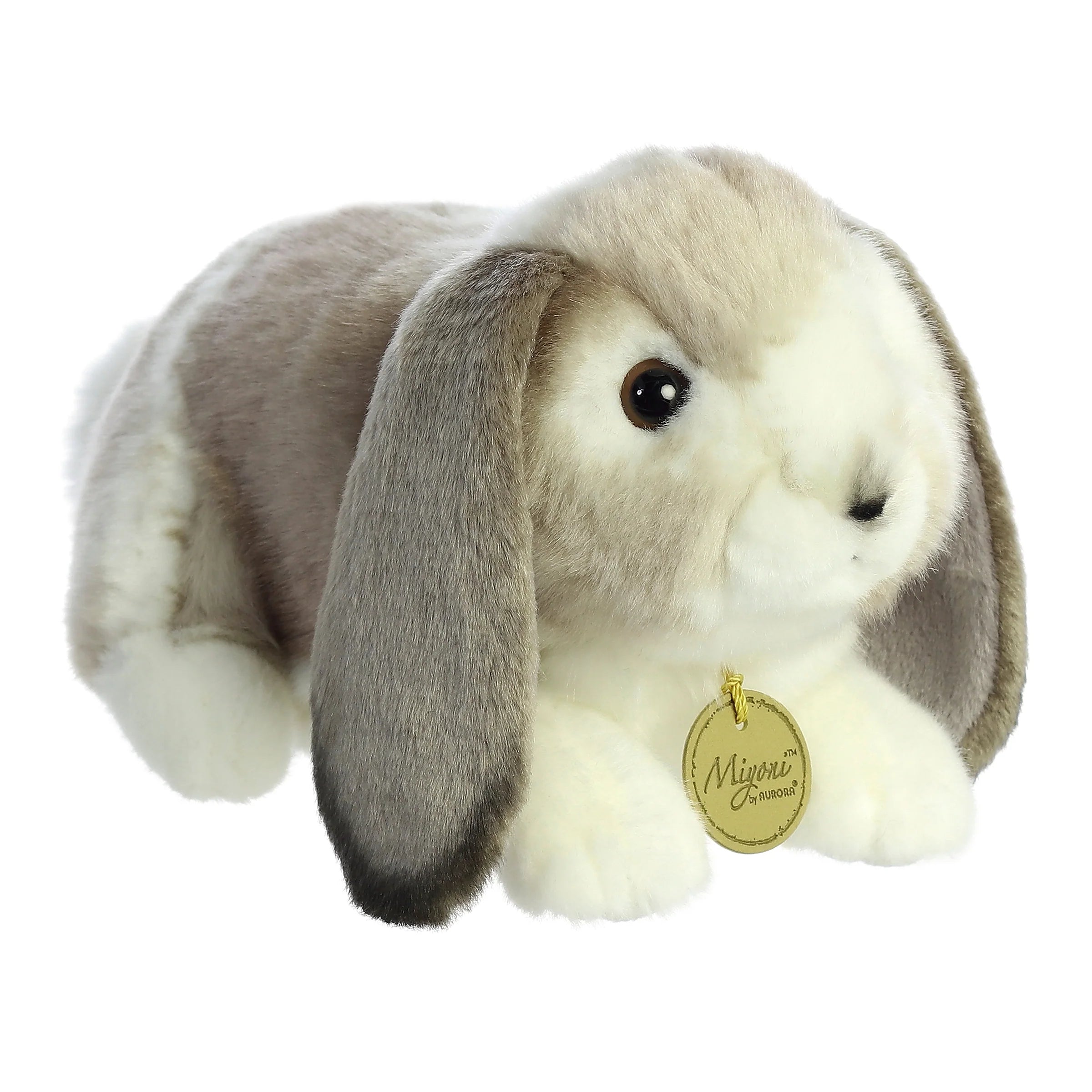 Aurora - Holland Lop Rabbit