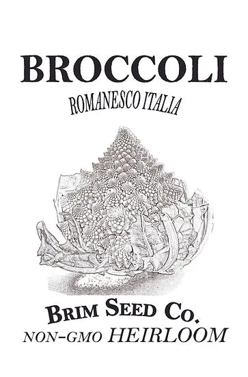 Brim Seed Co. - Romanesco Italia Broccoli Heirloom Seed