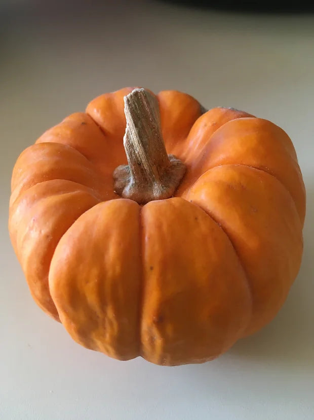 Brim Seed Co. - Jack Be Little Pumpkin Heirloom Seed