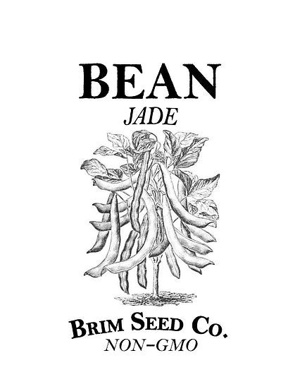 Brim Seed Co. - Jade Bush Bean Seed