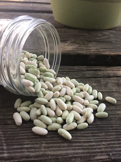 Brim Seed Co. - Jade Bush Bean Seed