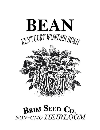 Brim Seed Co. - Kentucky Wonder Bush Bean Heirloom Seed