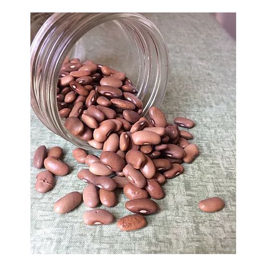 Brim Seed Co. - Kentucky Wonder Pole Bean Heirloom Seed