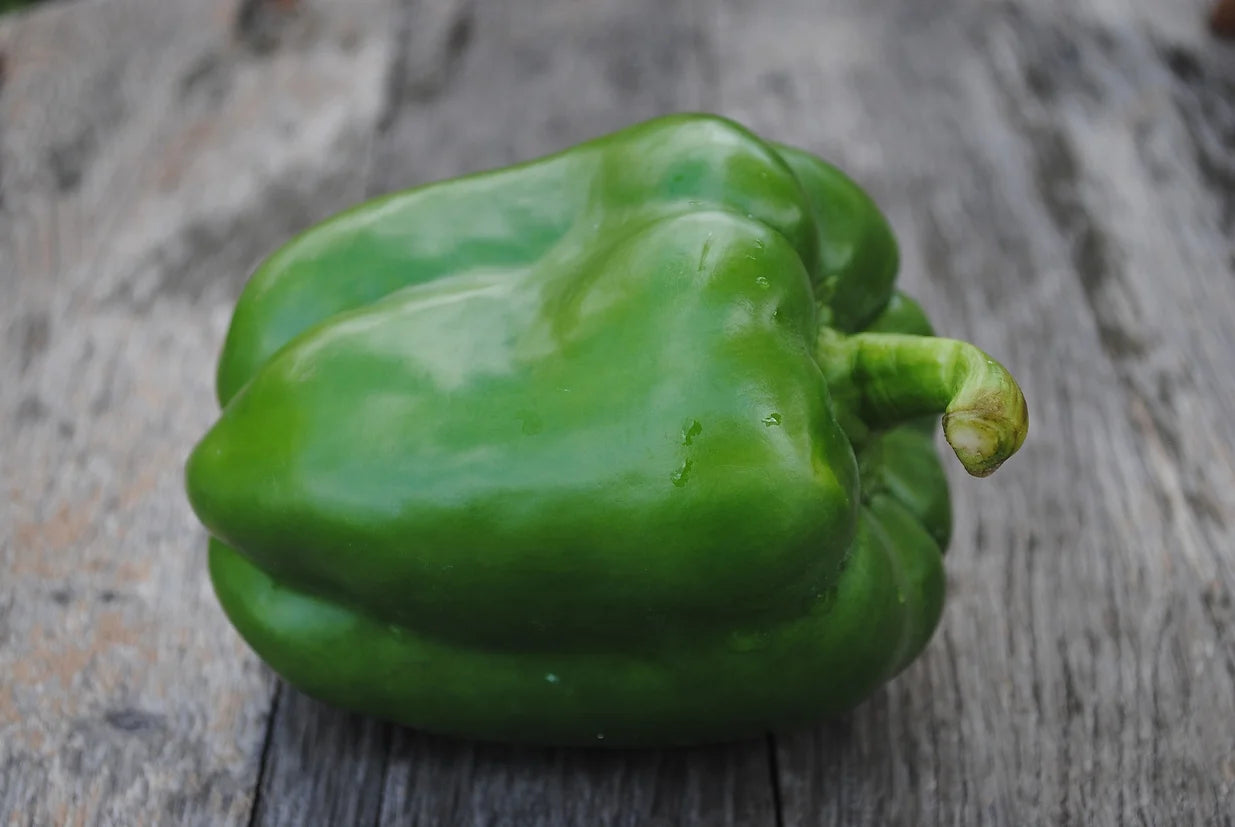 Brim Seed Co. -  Sweet Green To Red Keystone Resistant Pepper Heirloom Seed