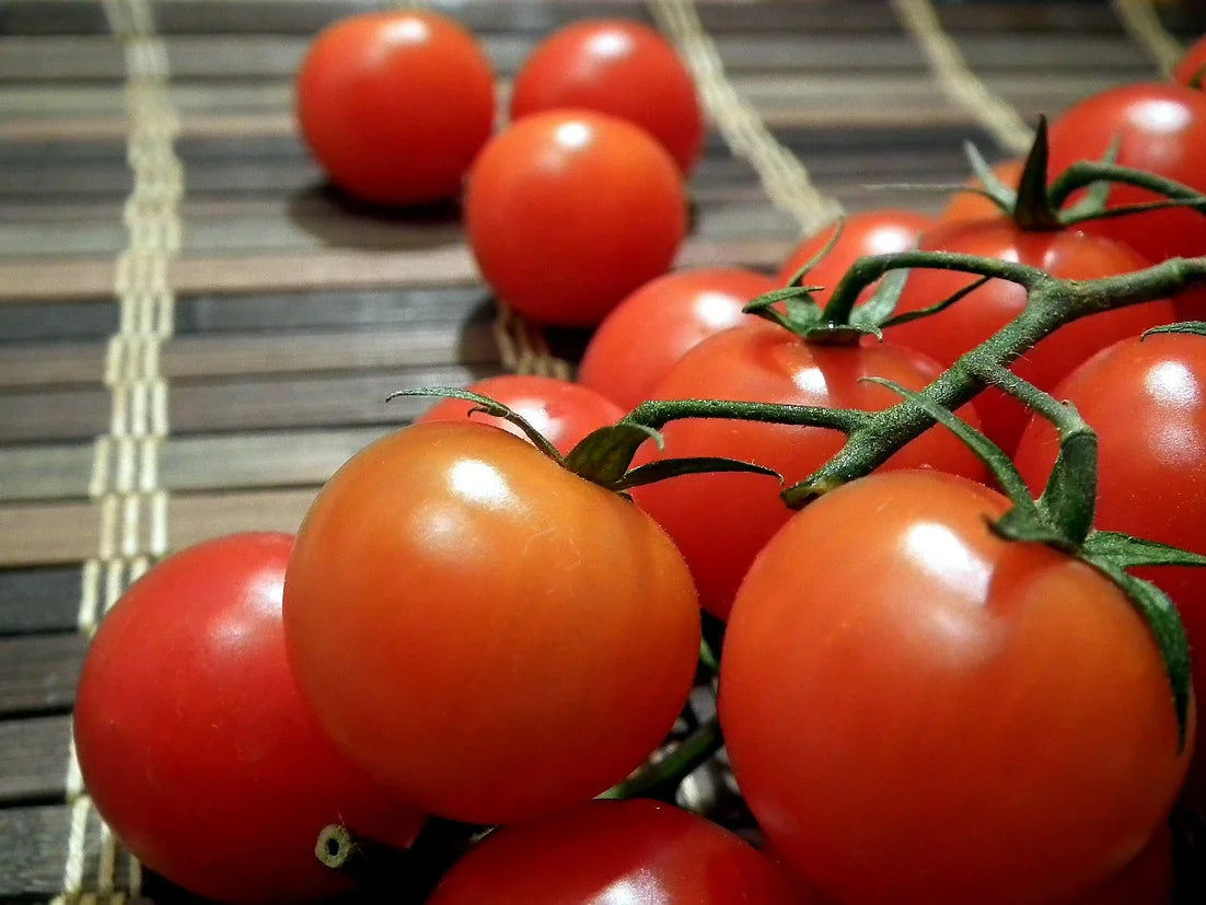 Brim Seed Co. - Large Red Cherry Tomato Heirloom Seed