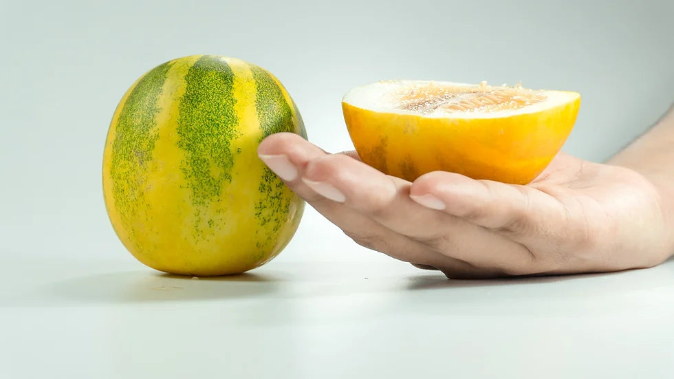 Brim Seed Co. - Lemon Cucumber Heirloom Seed