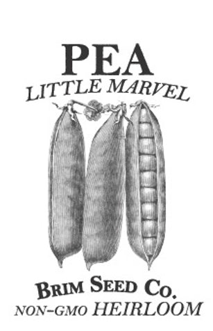 Brim Seed Co. - Little Marvel Garden Pea Heirloom Seed