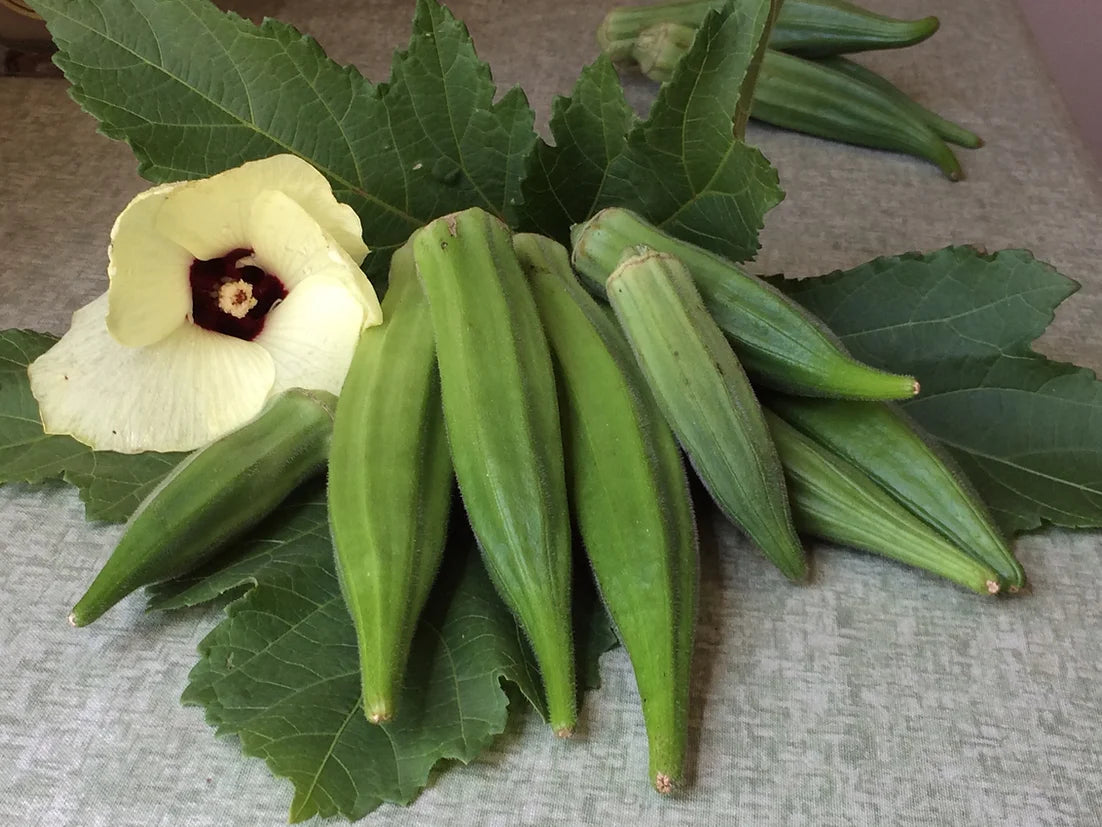 Brim Seed Co. - Southern Acclimated Louisiana 16" Long Okra Heirloom Seed