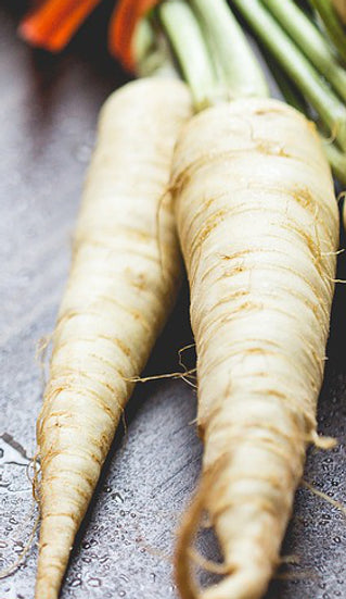 Brim Seed Co. - Lunar White Carrot Heirloom Seed