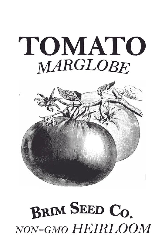 Brim Seed Co. - Marglobe Tomato Heirloom Seed