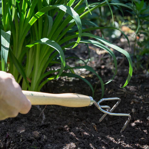 Burgon & Ball - Mid Handled Claw Cultivator