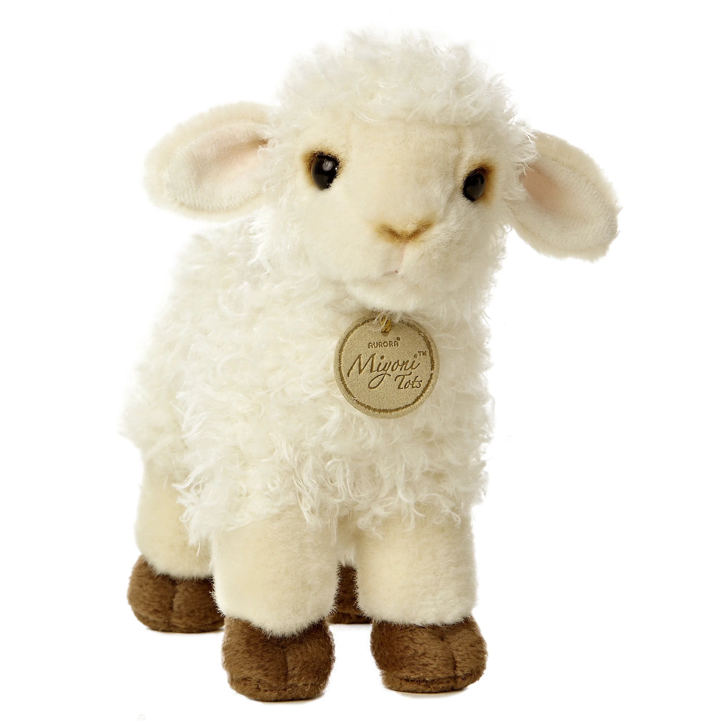 Aurora - Miyoni Baby Lamb