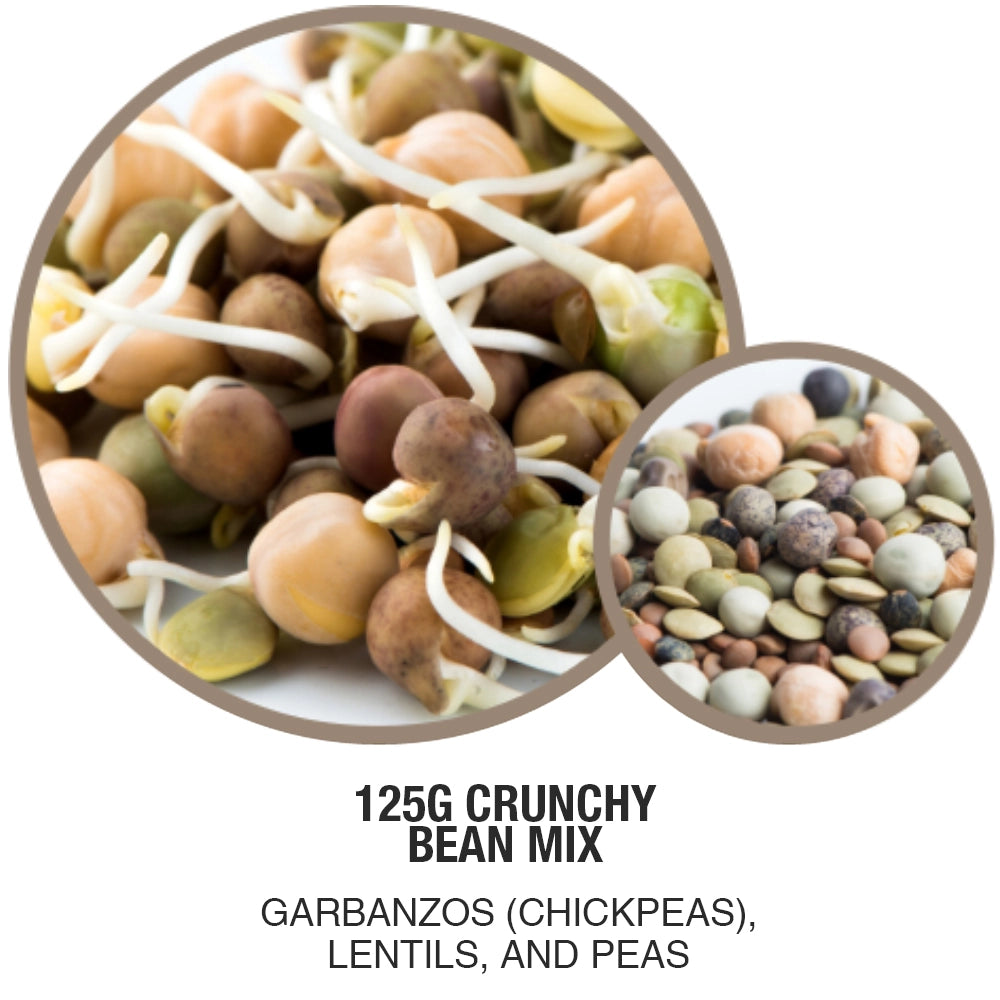 Mumm's - Crunchy Bean Organic Sprouting Seeds