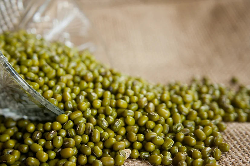 Brim Seed Co. - Mung Bean Heirloom Seed