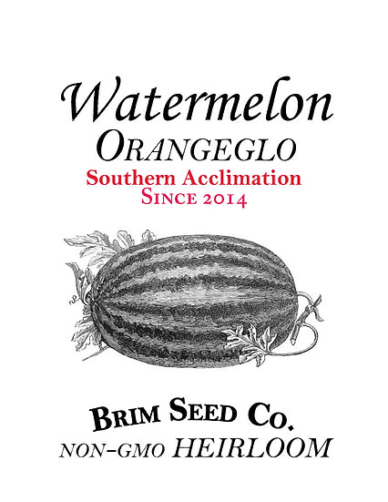 Brim Seed Co. - Southern Acclimated Orangeglo Watermelon Heirloom Seed