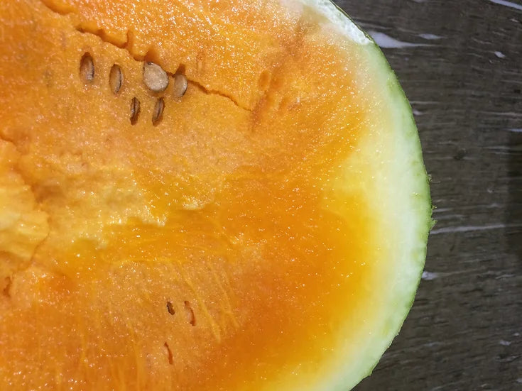 Brim Seed Co. - Southern Acclimated Orangeglo Watermelon Heirloom Seed