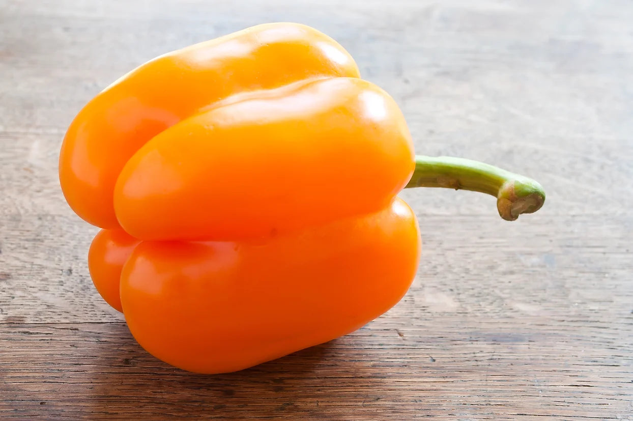 Brim Seed Co. - Sweet Orange King Bell Pepper Seed