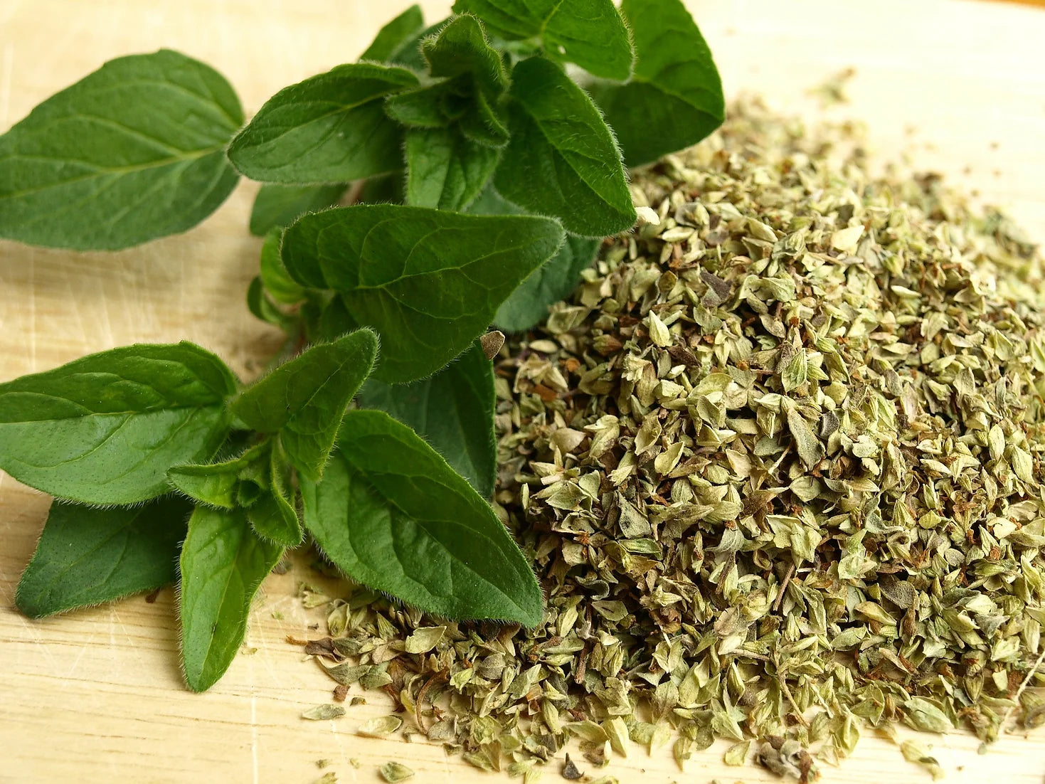 Brim Seed Co. - Italian Oregano Herb Heirloom Seed