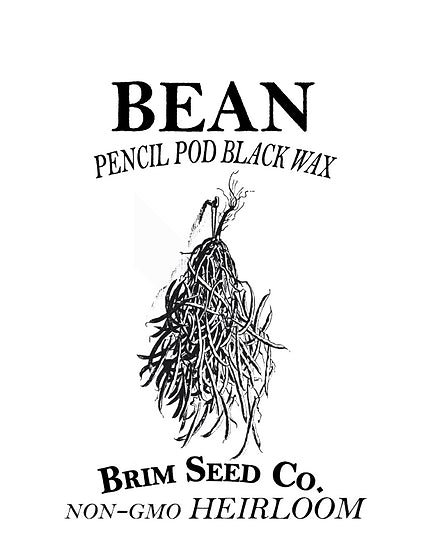 Brim Seed Co. - Pencil Pod Black Wax Bean Heirloom Seed