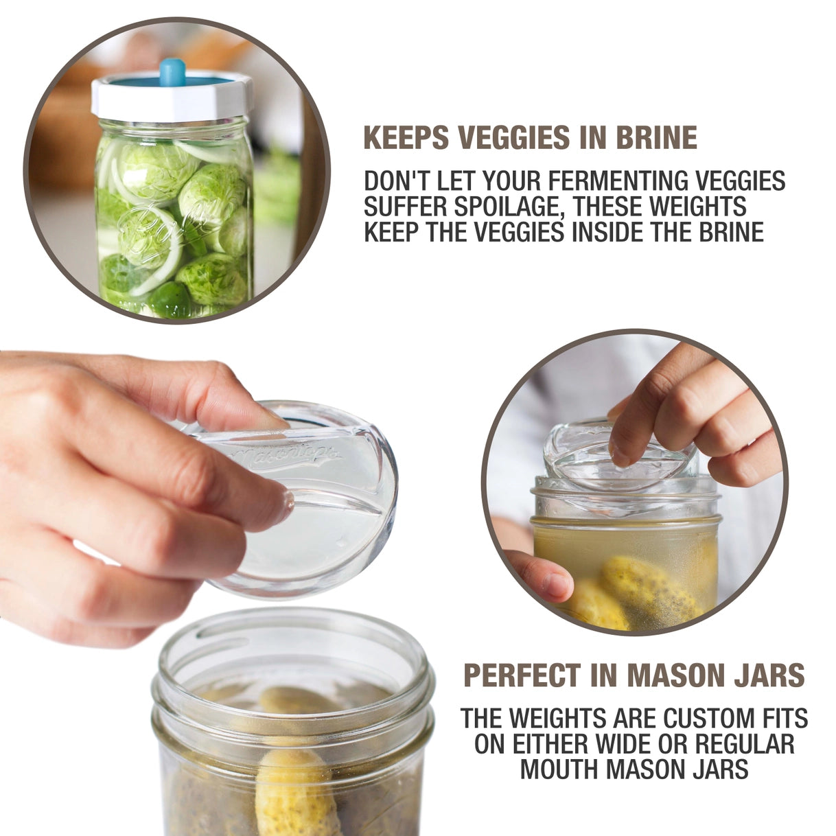 Masontops - Regular Mouth Pickle Pebble Glass Fermentation Weights