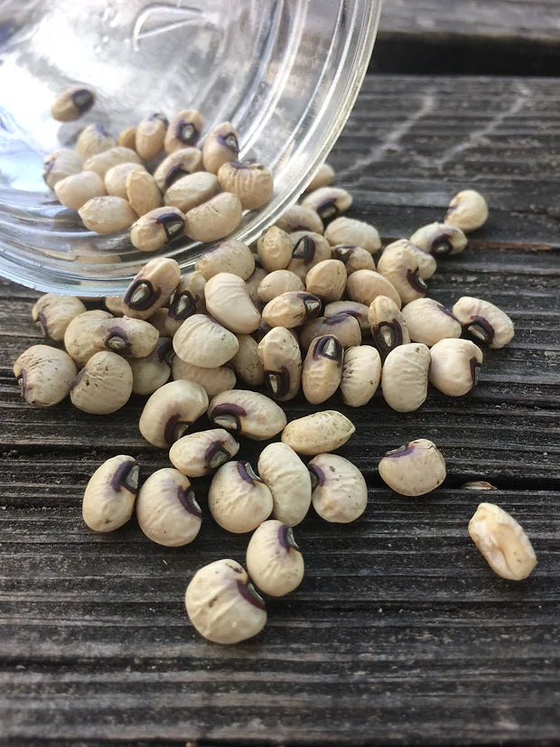 Brim Seed Co. - Pink Eyed Purple Hull Southern Pea Heirloom Seed