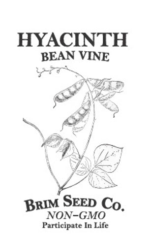 Brim Seed Co. - Hyacinth Bean Vine Flower Seed