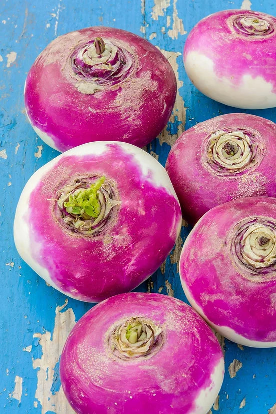 Brim Seed Co. - Purple Top White Globe Turnip Heirloom Seed