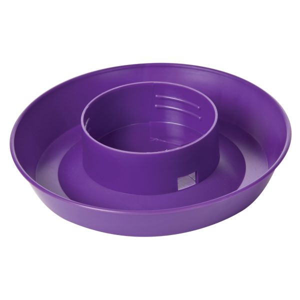 Little Giant - 1qt. Purple Water/Feeder Base