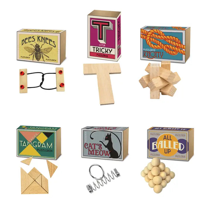Project Genius Project Genius Original Puzzlebox | Brain Teaser Gift