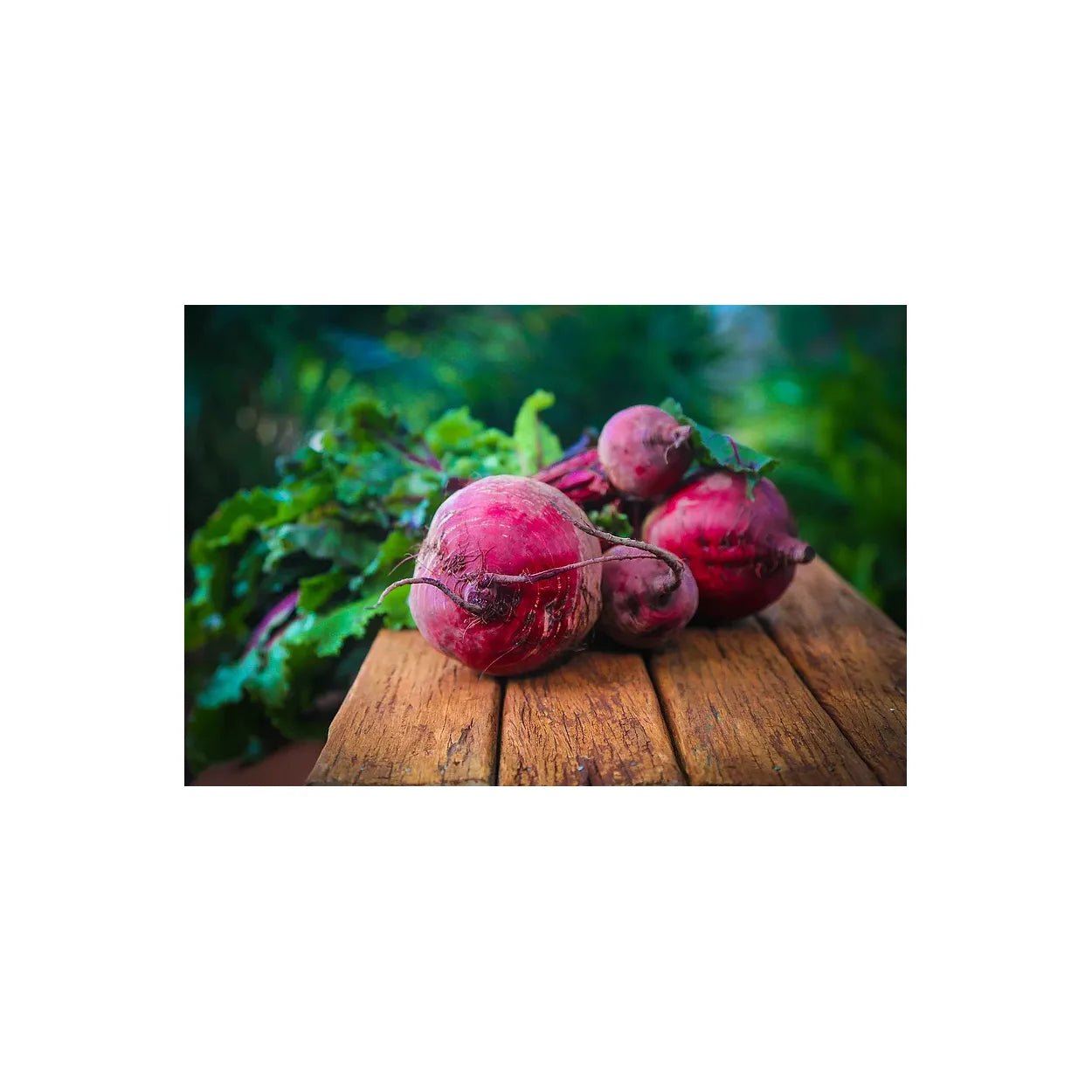 Brim Seed Co. - Ruby Queen Beet Heirloom Seed