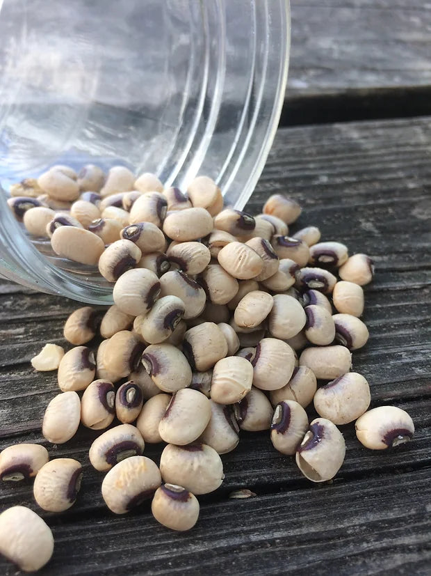 Brim Seed Co. - Quickpick Purple Hull Southern Pea Seed