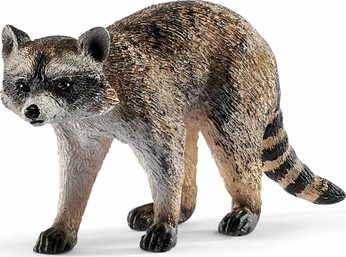 Schleich - Raccoon