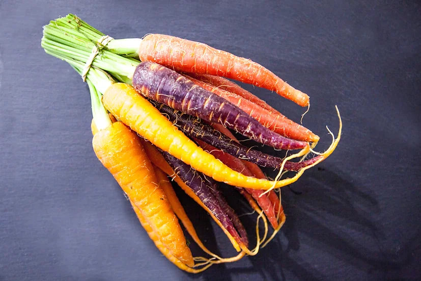 Brim Seed Co. - Rainbow Mix Carrots Seed