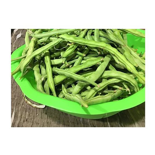 Brim Seed Co. - Rattlesnake Pole Bean Heirloom Seed