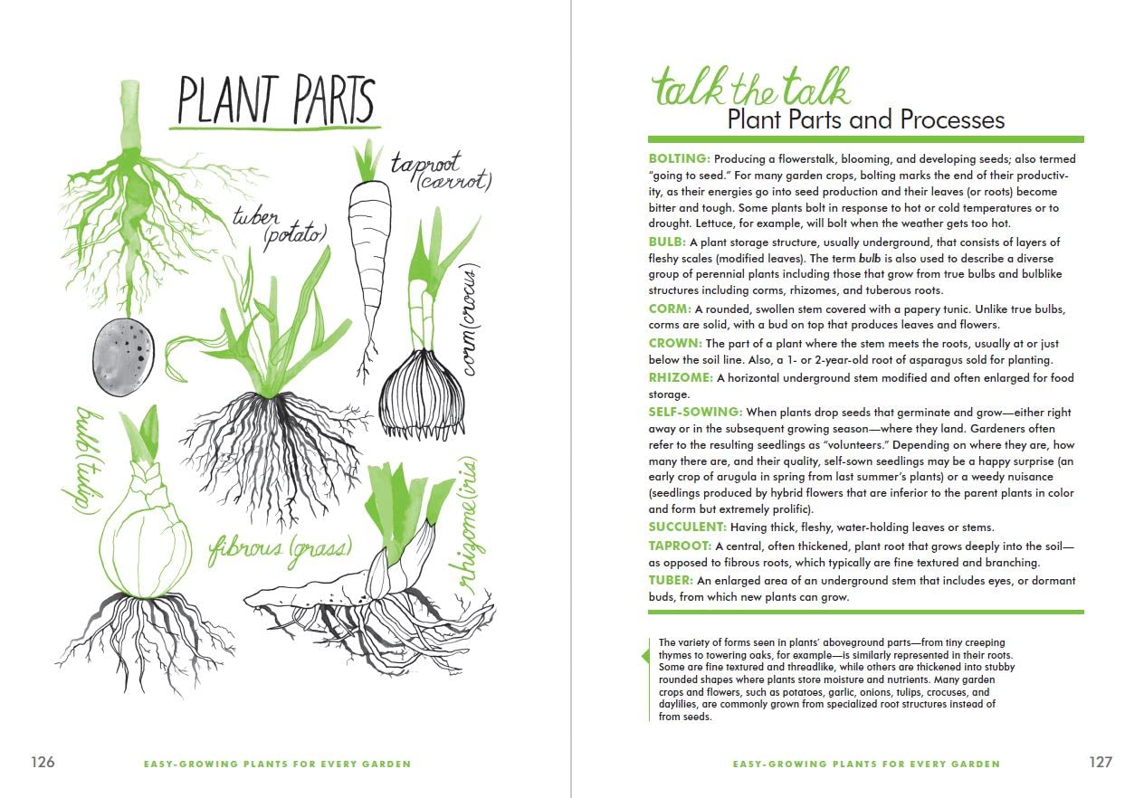 Rodale's Basic Organic Gardening: A Beginner's Guide to Starting a Healthy Garden - by Deborah L. Martin