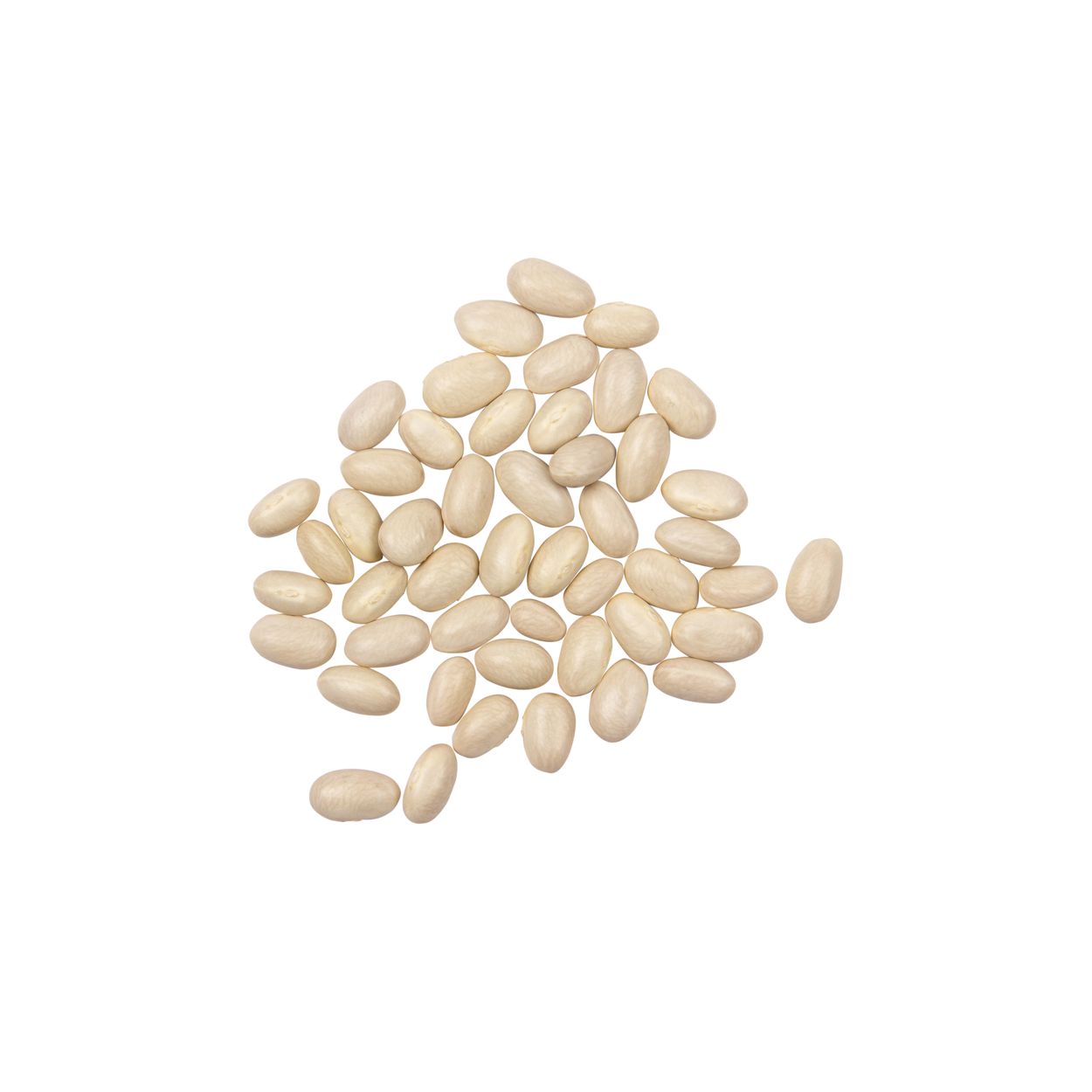 Brim Seed Co. - Roma II Bush Bean Seed