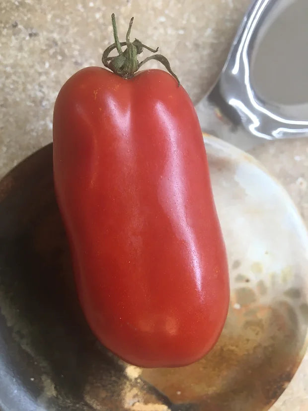 Brim Seed Co. - Southern Acclimated Sausage Tomato Heirloom Seed